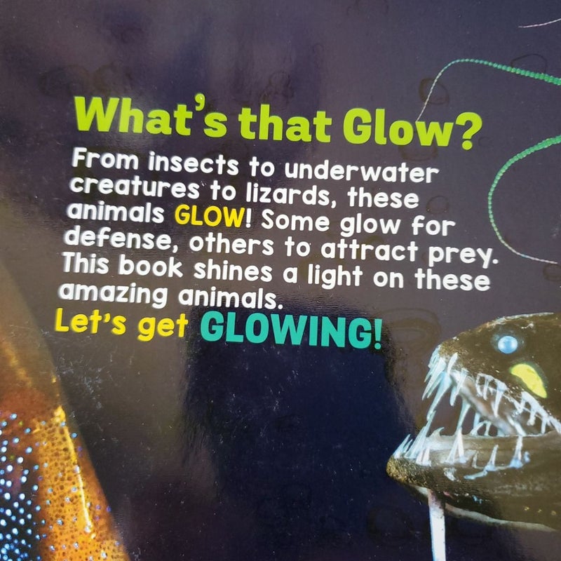 Glow Animals