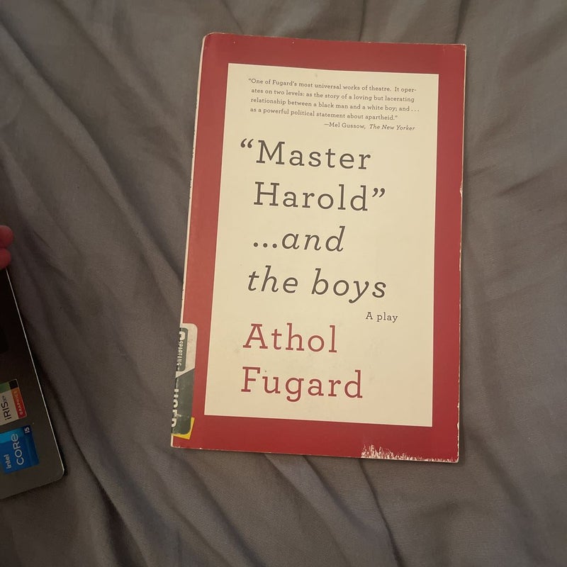 Master Harold…and the boys 