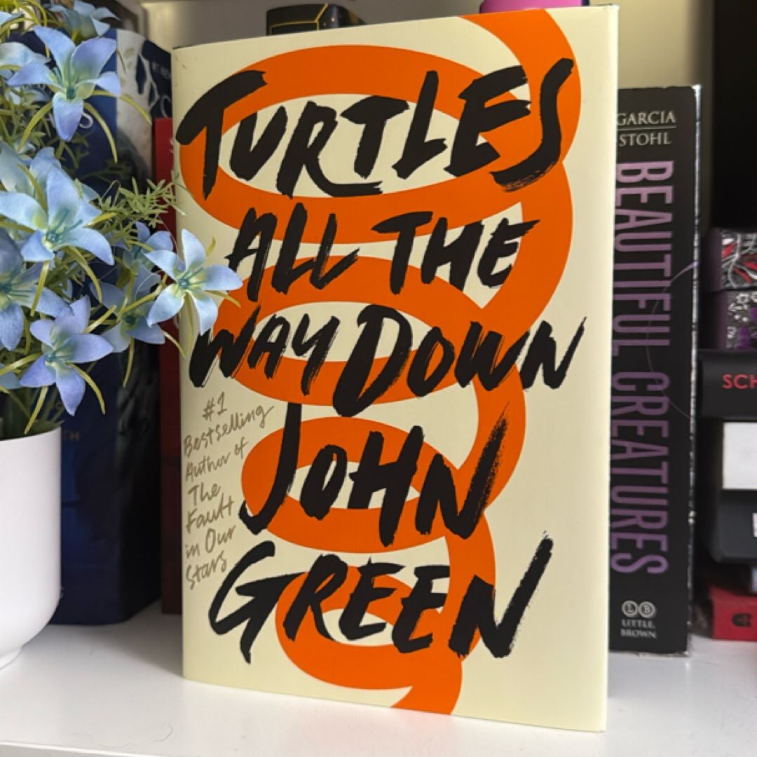 Turtles All the Way Down