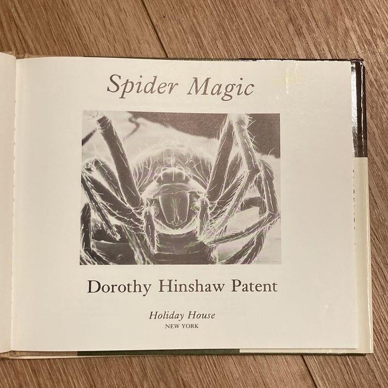 Spider Magic