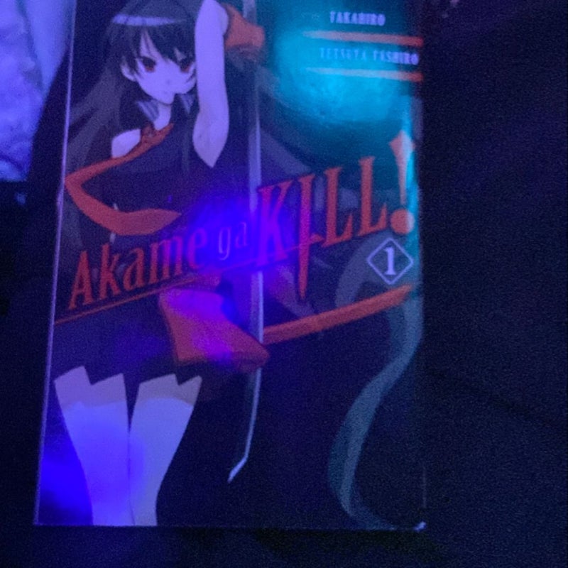 Akame Ga KILL!, Vol. 1