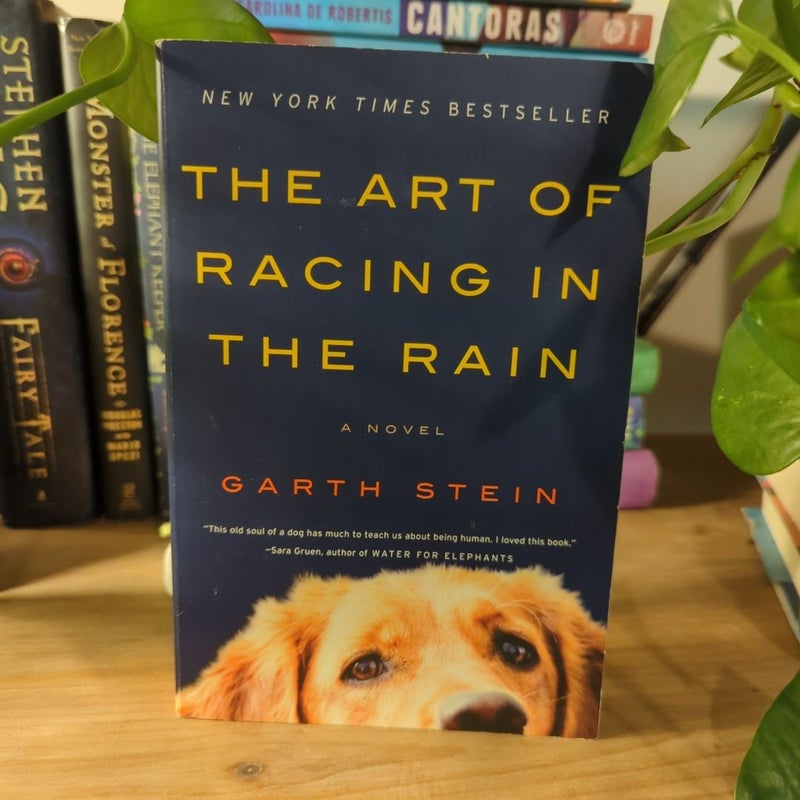 The Art of Racing in the Rain