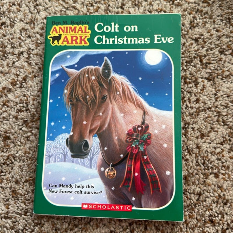 Colt on Christmas Eve