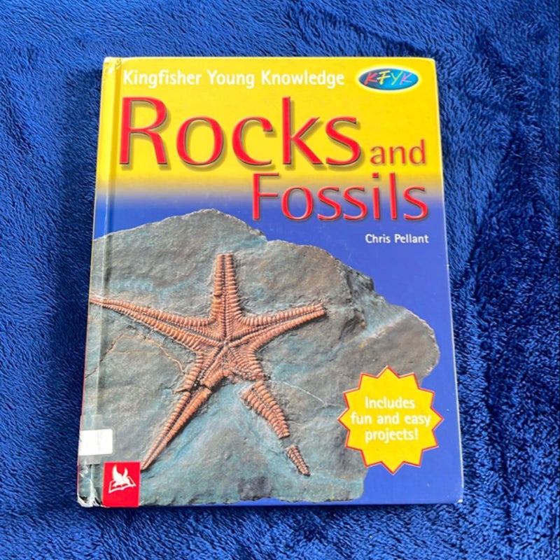 Rocks and Fossils