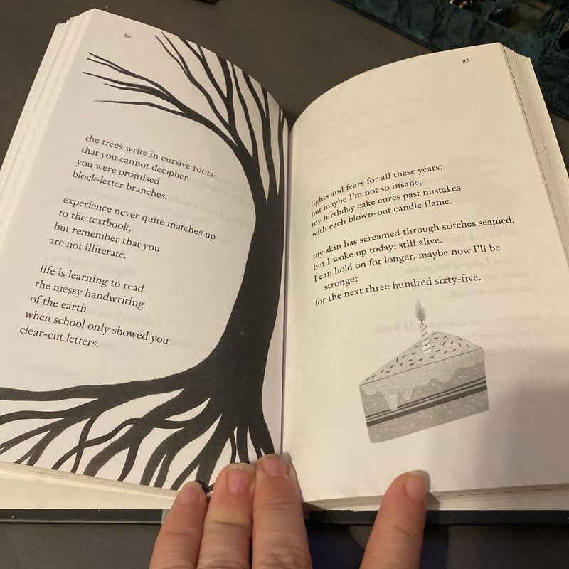 Light Filters in Poems by Caroline Kaufman