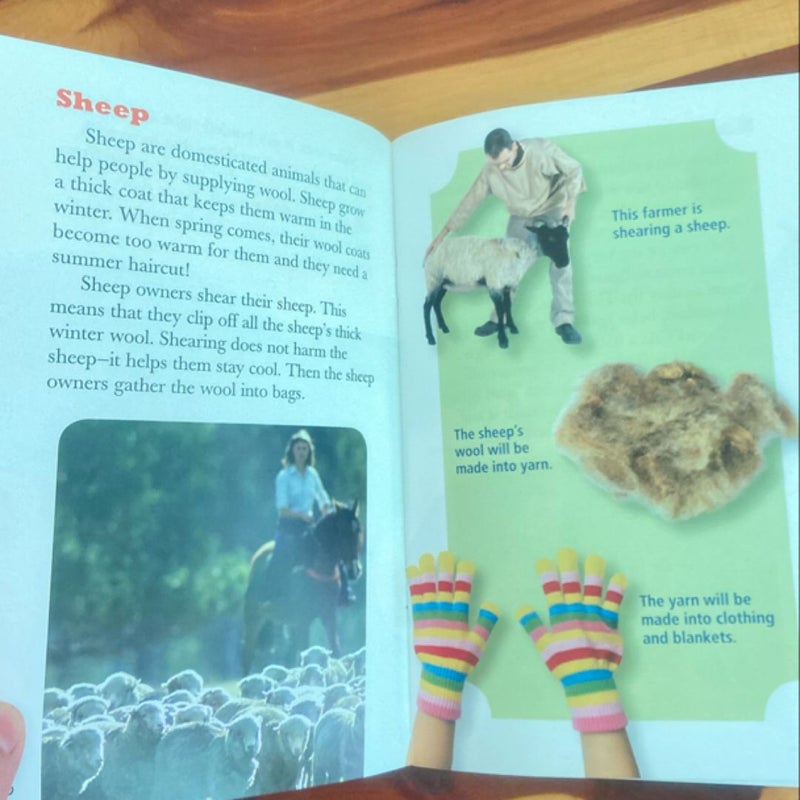 Educational books  elementary children’s pets birds animal’s dogs social studies science