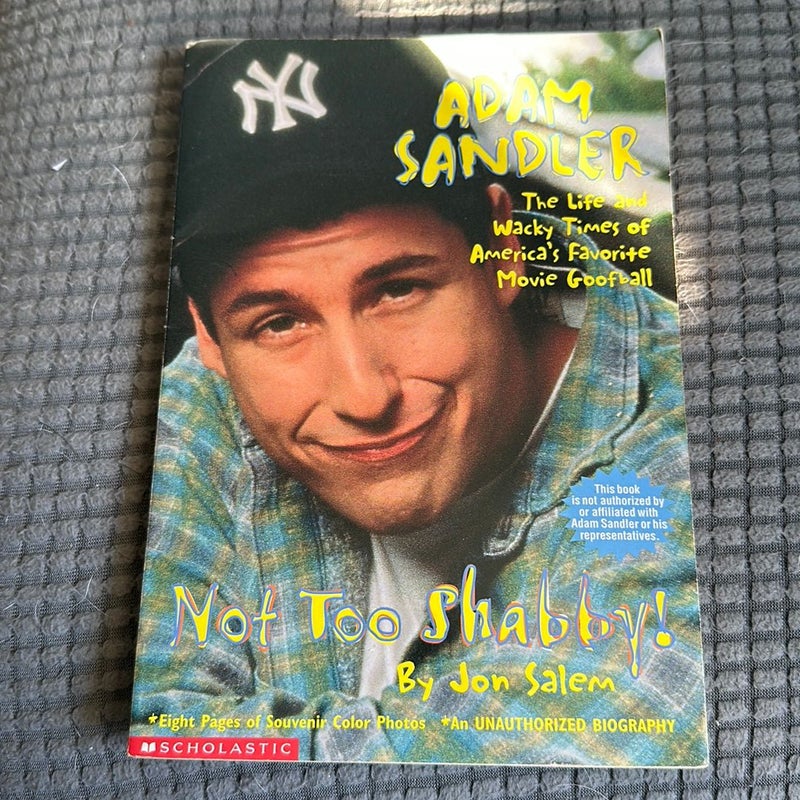 Adam Sandler: The Life and Wacky Times of America’s Movie Goofball
