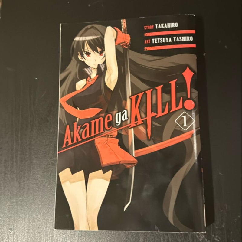 Akame Ga KILL!, Vol. 1