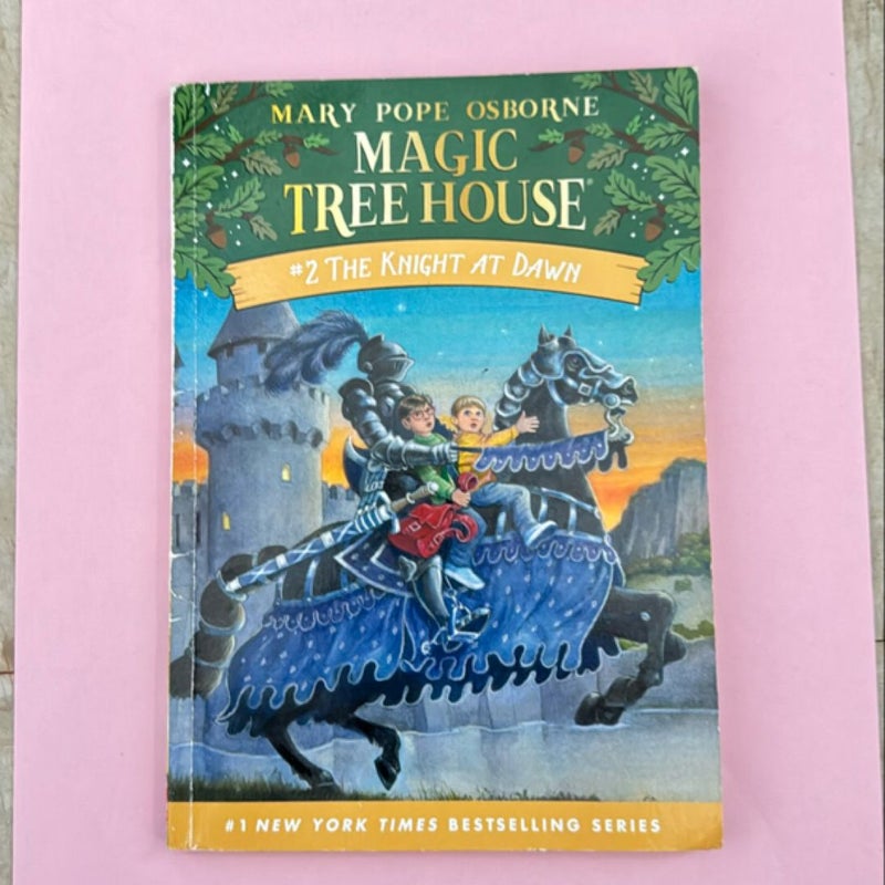 Magic Treehouse- The Night at dawn #2