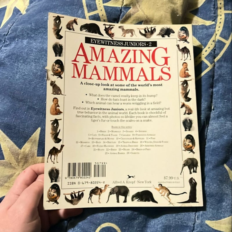 Amazing Mammals