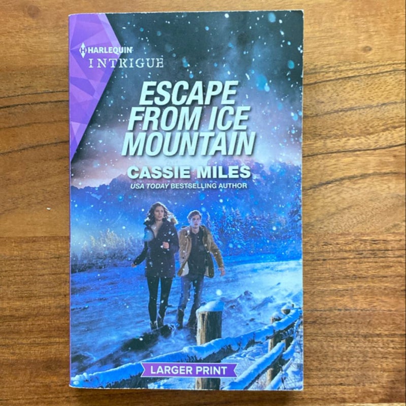 Escape from Ice Mountain