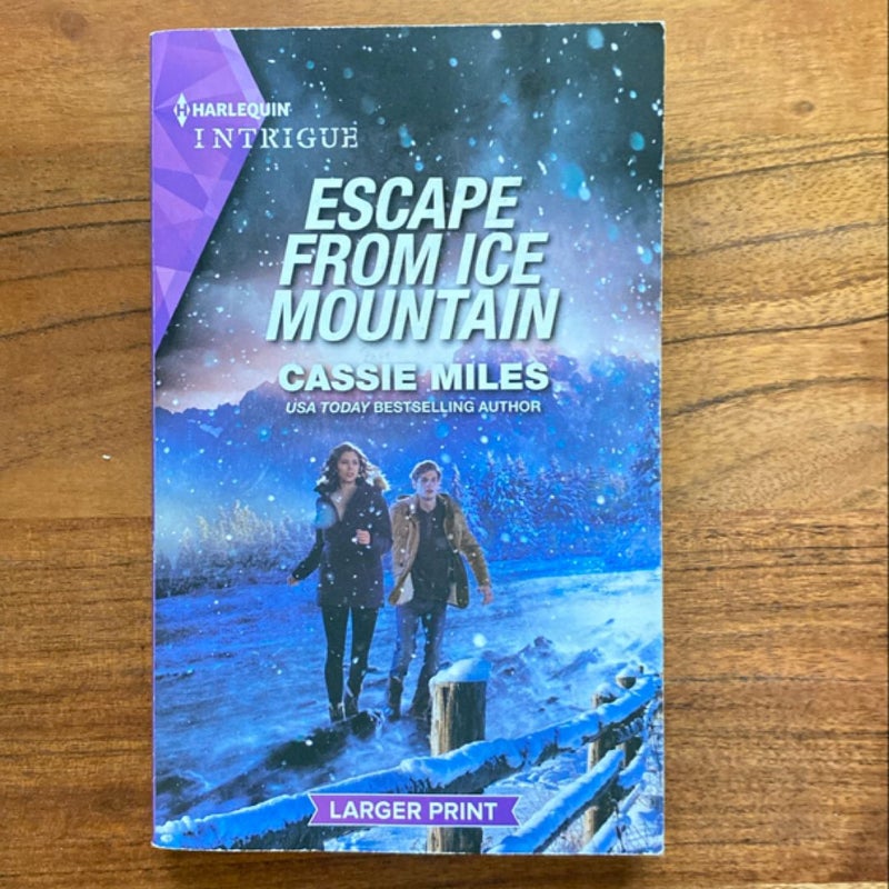 Colorado Mountain Escape