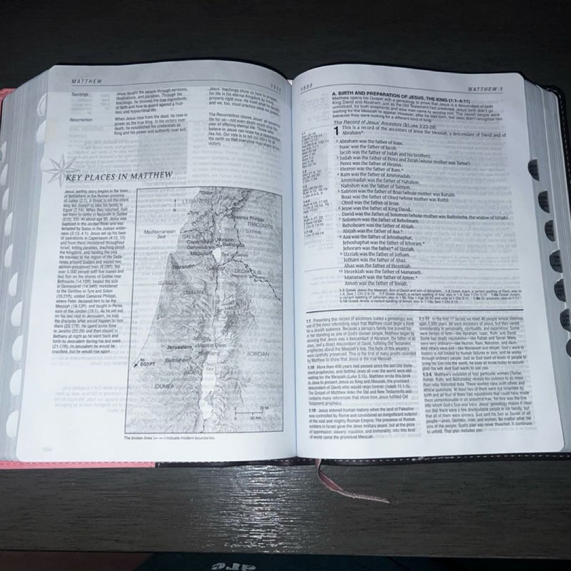 Life application study Bible 