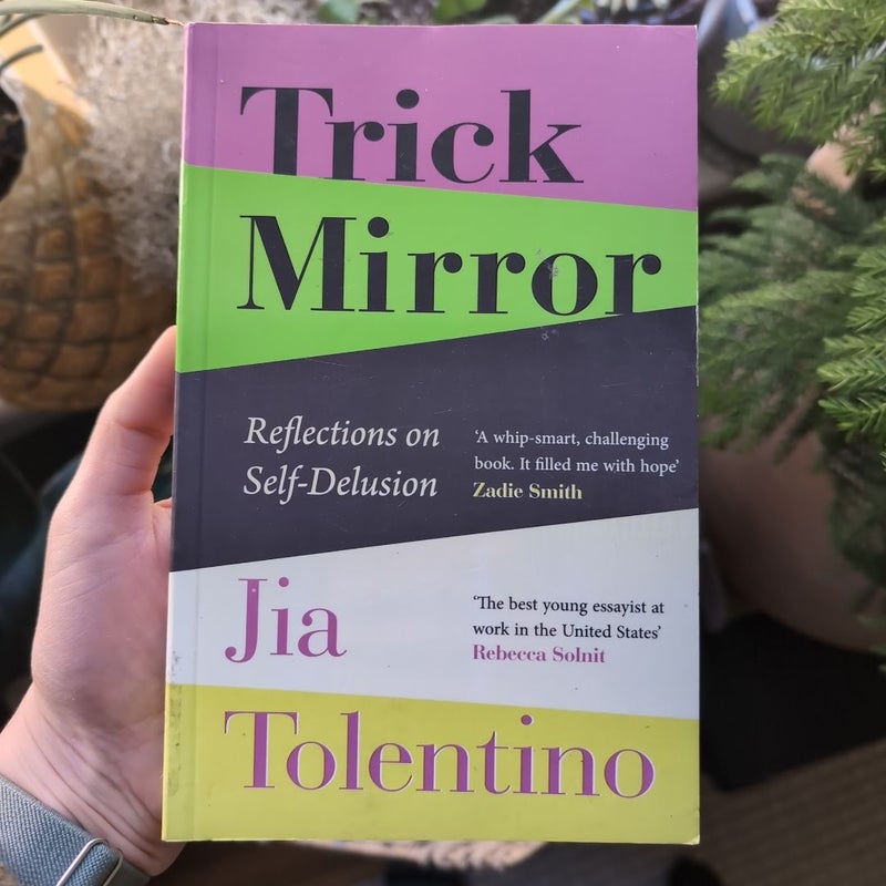 Trick Mirror