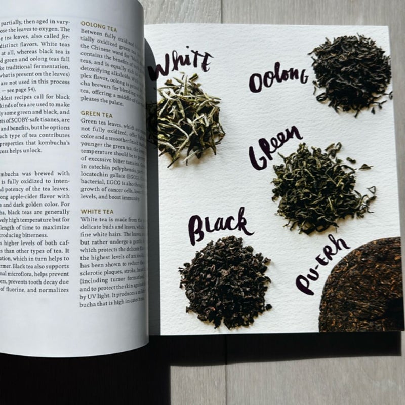 The Big Book of Kombucha