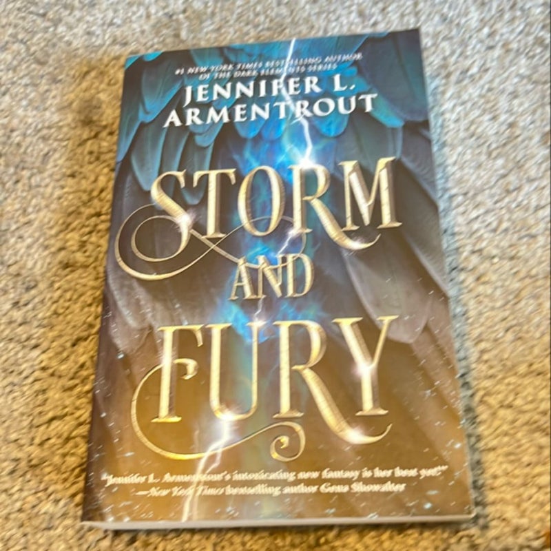 Storm and Fury