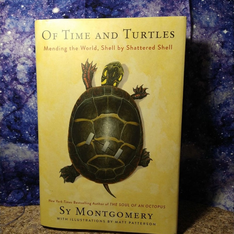 Of Time and Turtles