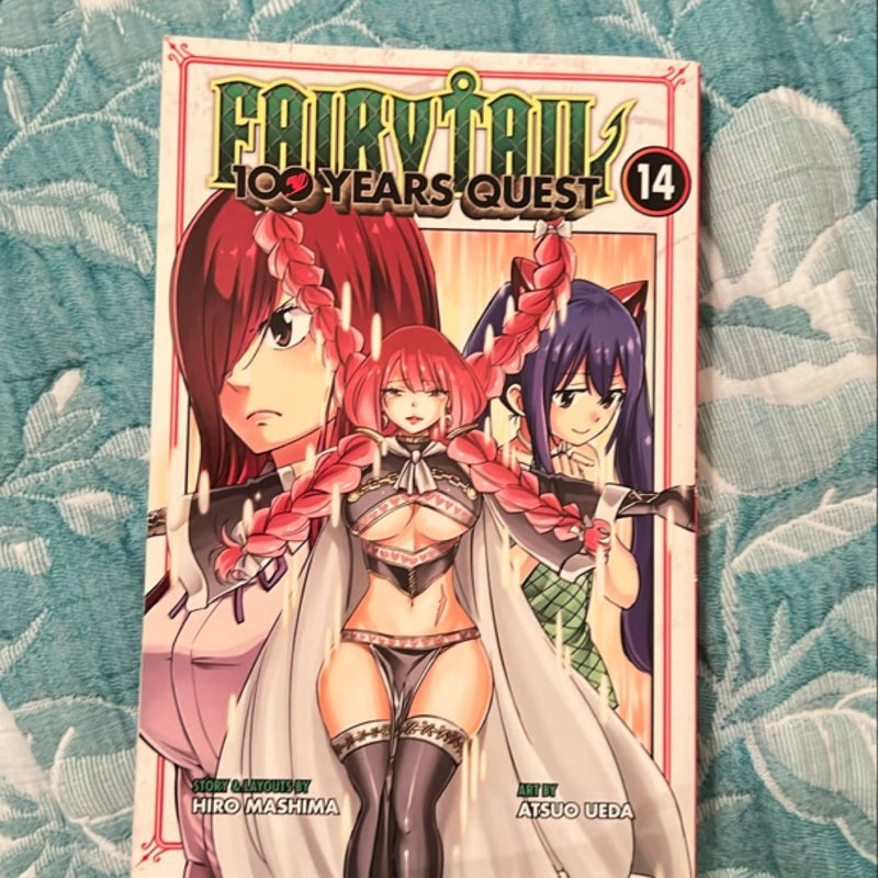 Fairy Tail 14