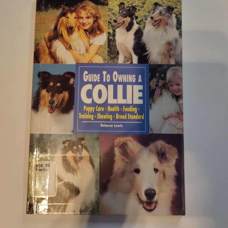 Guide to Owning a Collie