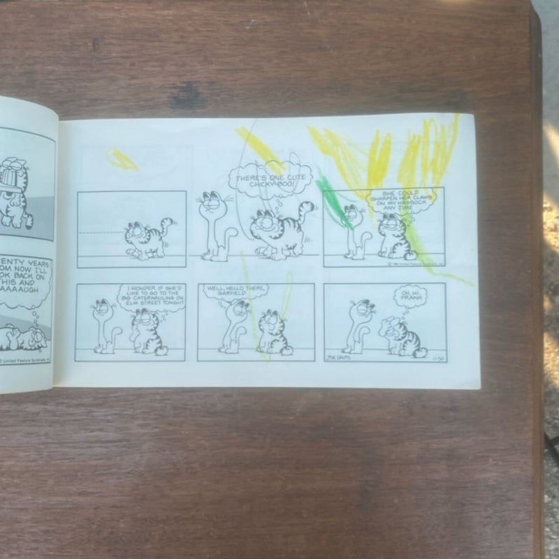 Garfield takes the Cake