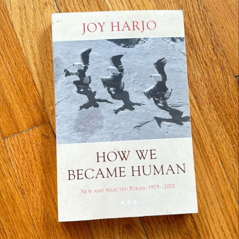 How We Became Human