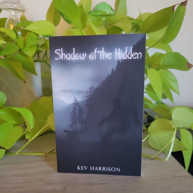 Shadow of the Hidden