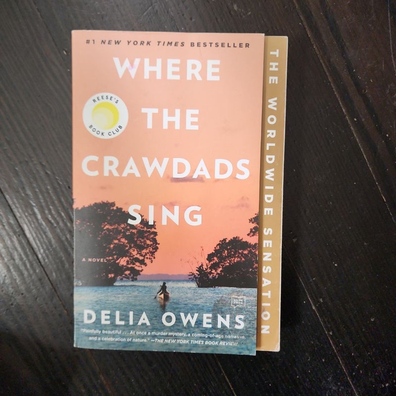 Where the Crawdads Sing