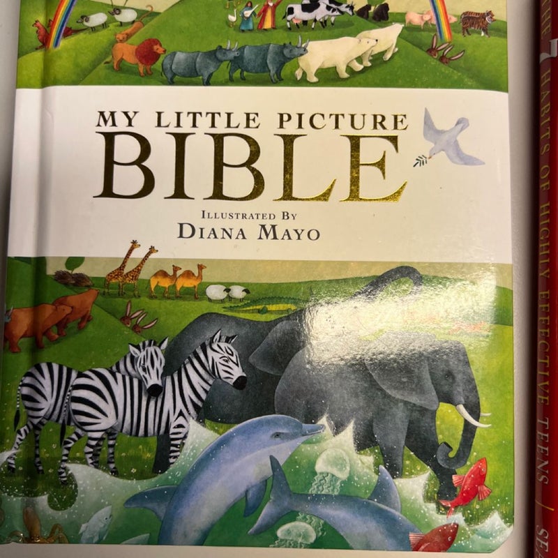 My Little Picture Bible