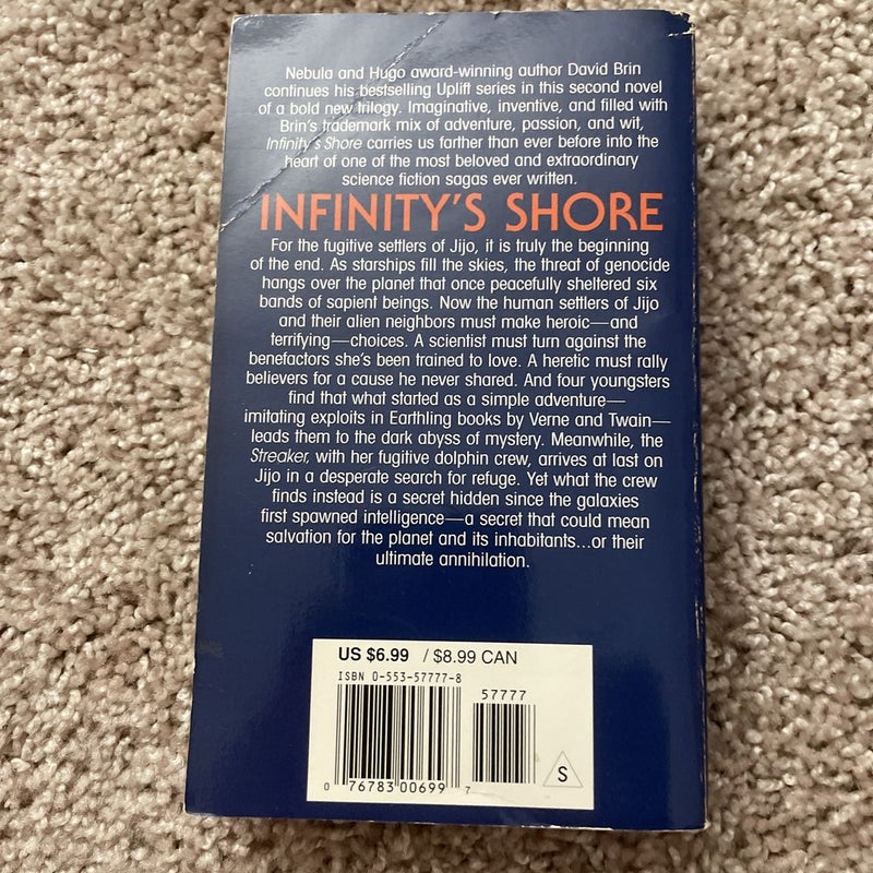 Infinity's Shore