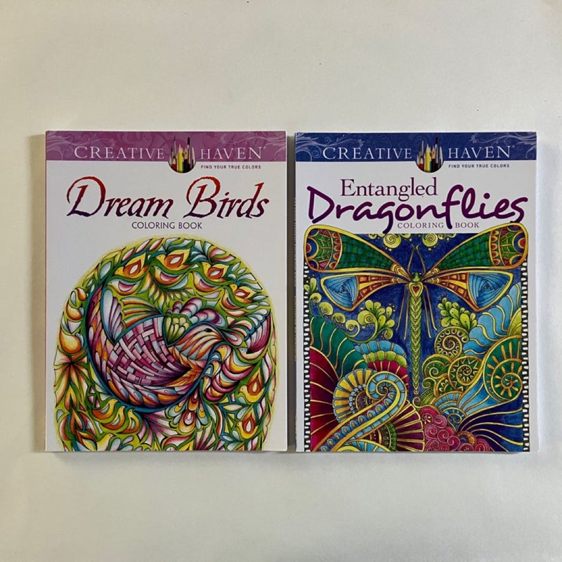 Creative Haven Entangled Dragonflies & Dream Birds Adult Coloring Books