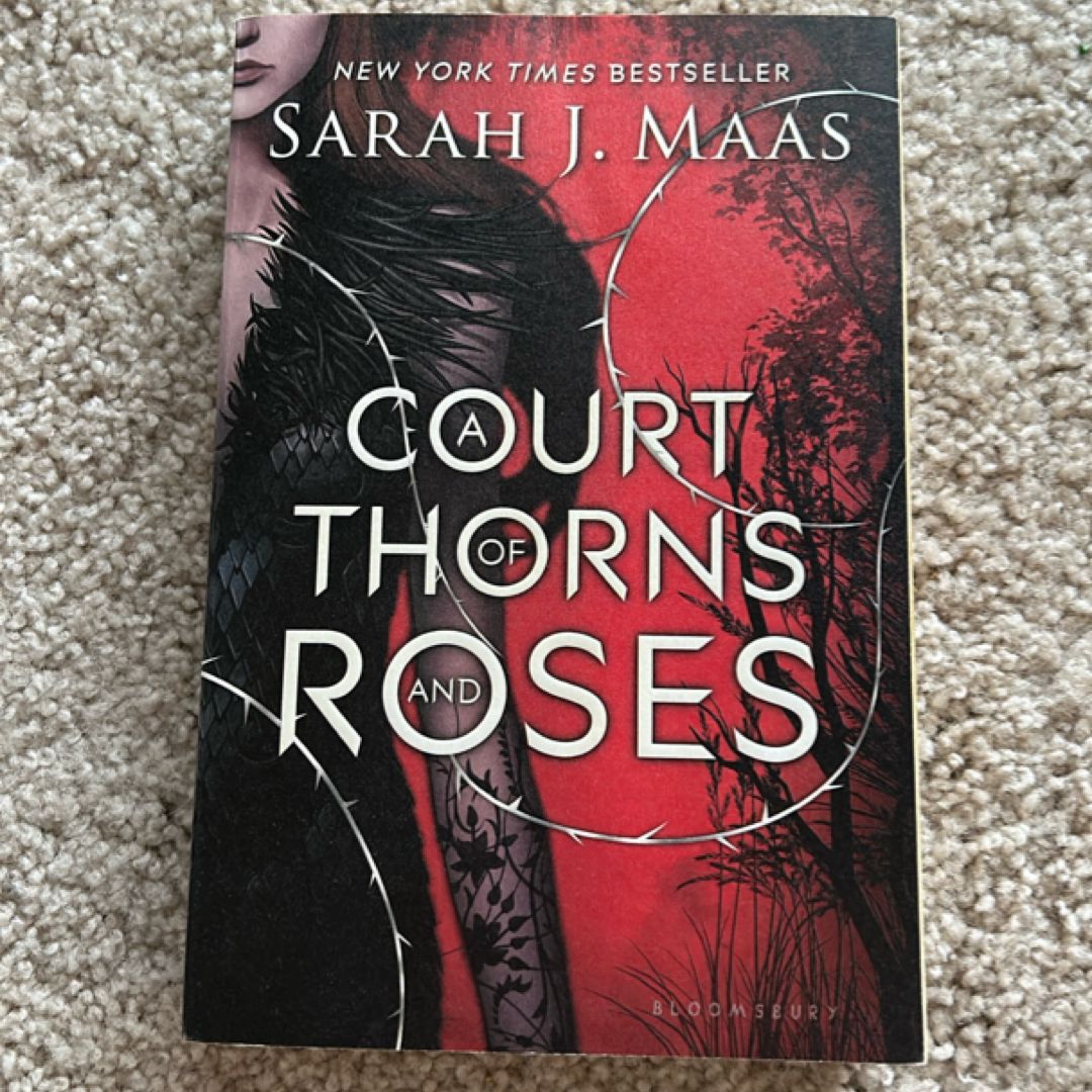 Sale image for bce97b81-f053-4231-b942-cf3679665b7f-kVAl7x9v1xRYiumrUZht476v2K32