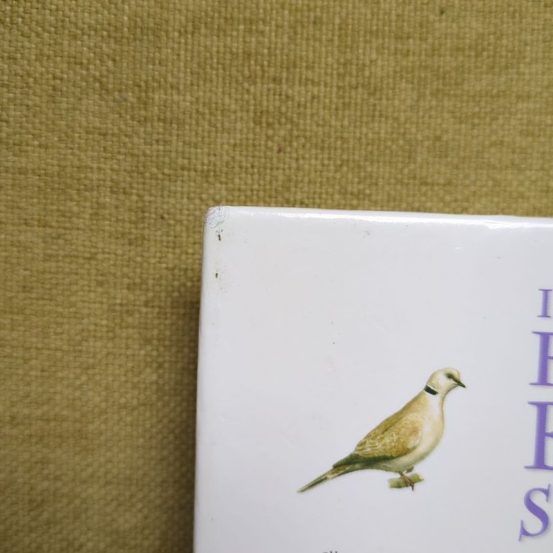 Illustrated Family Bible Stories