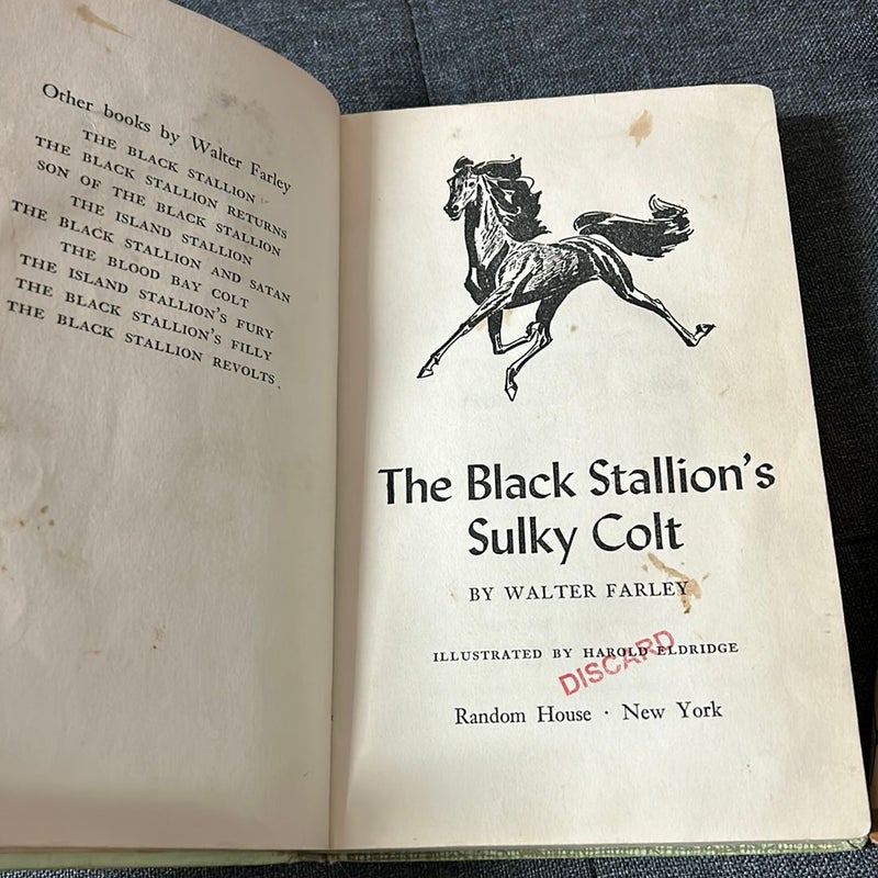 The Black Stallion Books