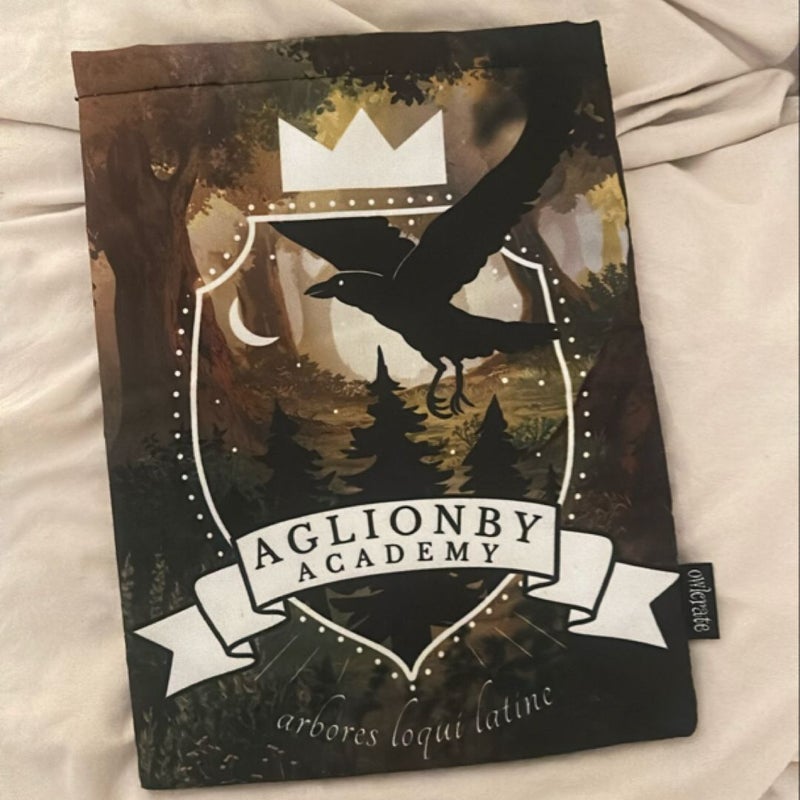 The Raven Boys Booksleve - OWLCRATE