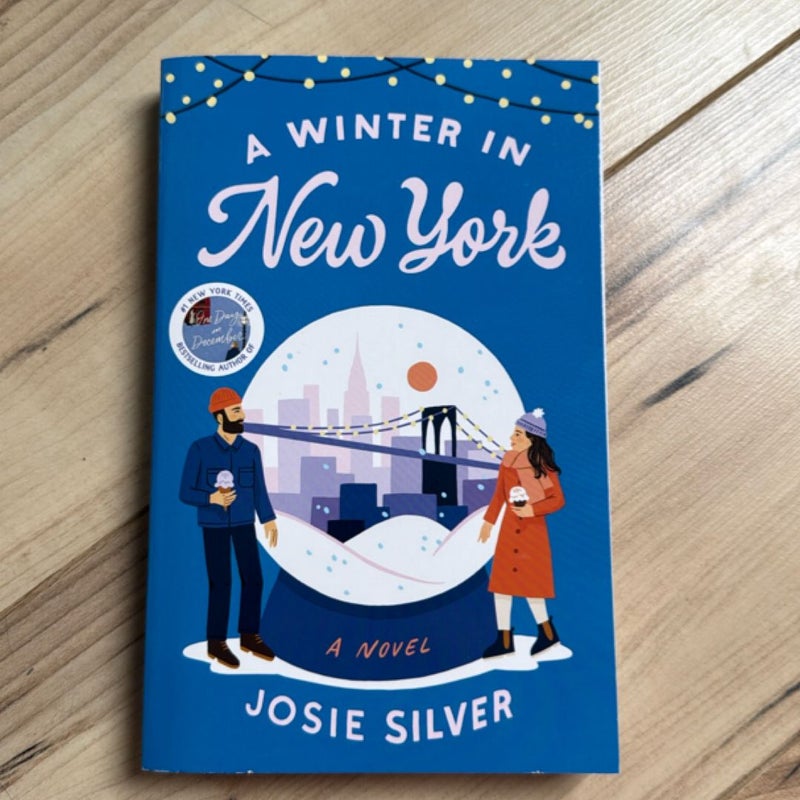 A Winter in New York