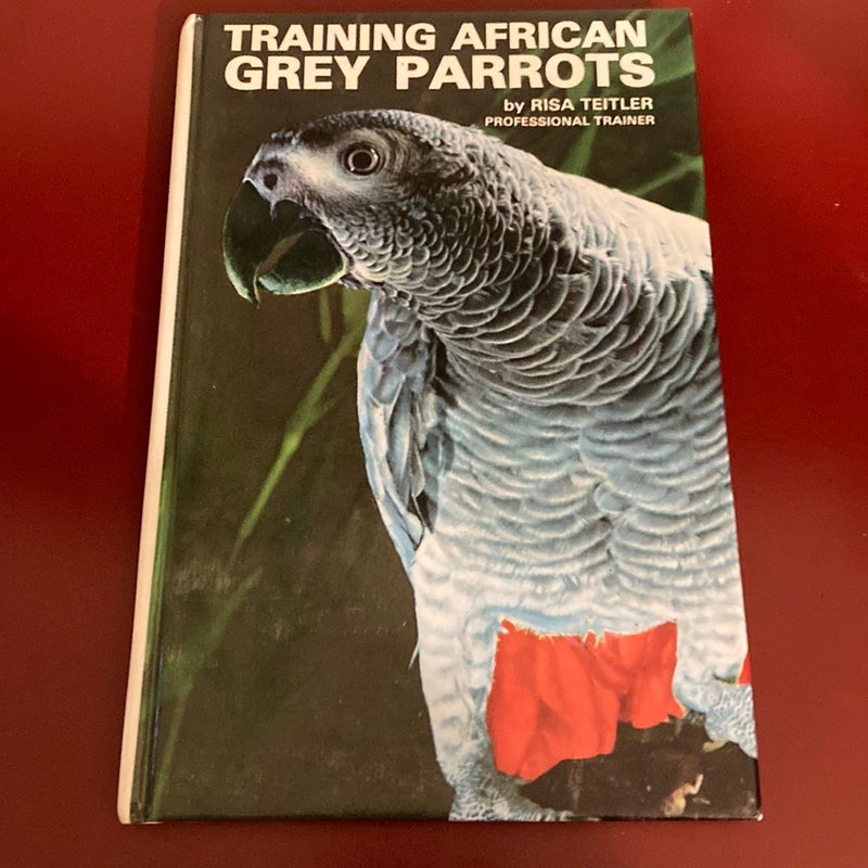 Training African Grey Parrots