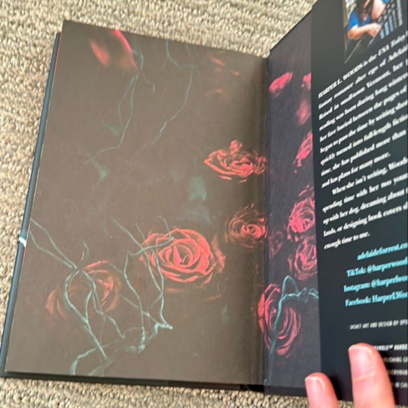 The Coven & The Cursed (First Edition)