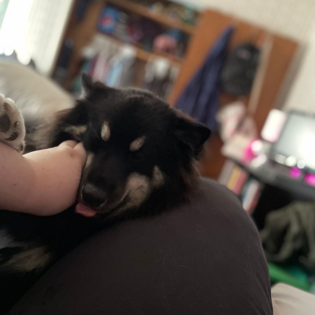 Lakeybean
