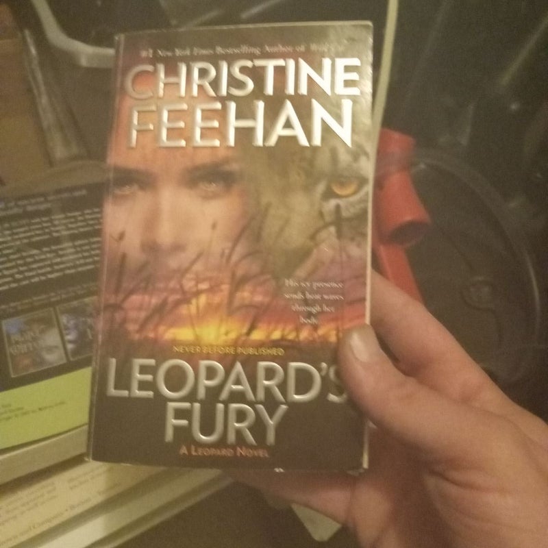 Leopard's Fury