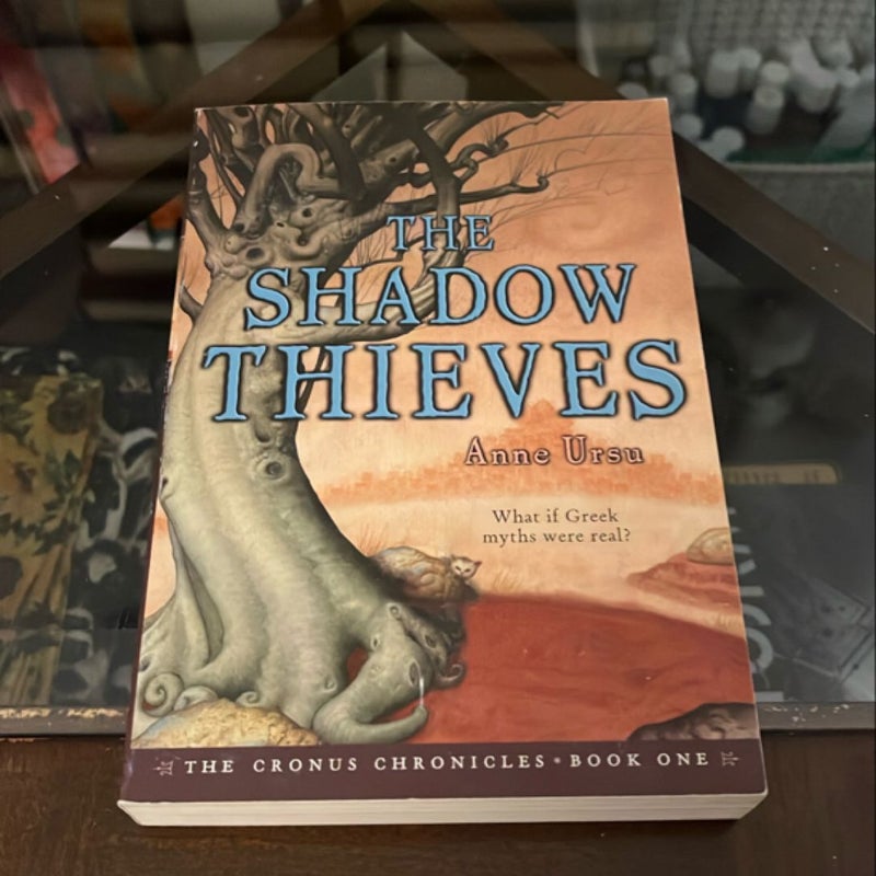 The Shadow Thieves
