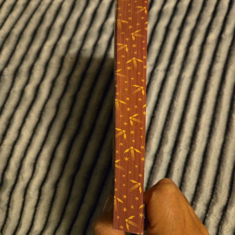 Harry Potter and the Sorcerer's Stone (Stenciled Edges) (Harry Potter, Book 1)