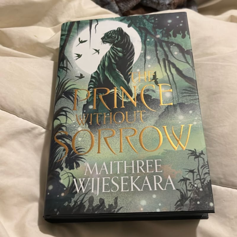 The Prince Without Sorrow