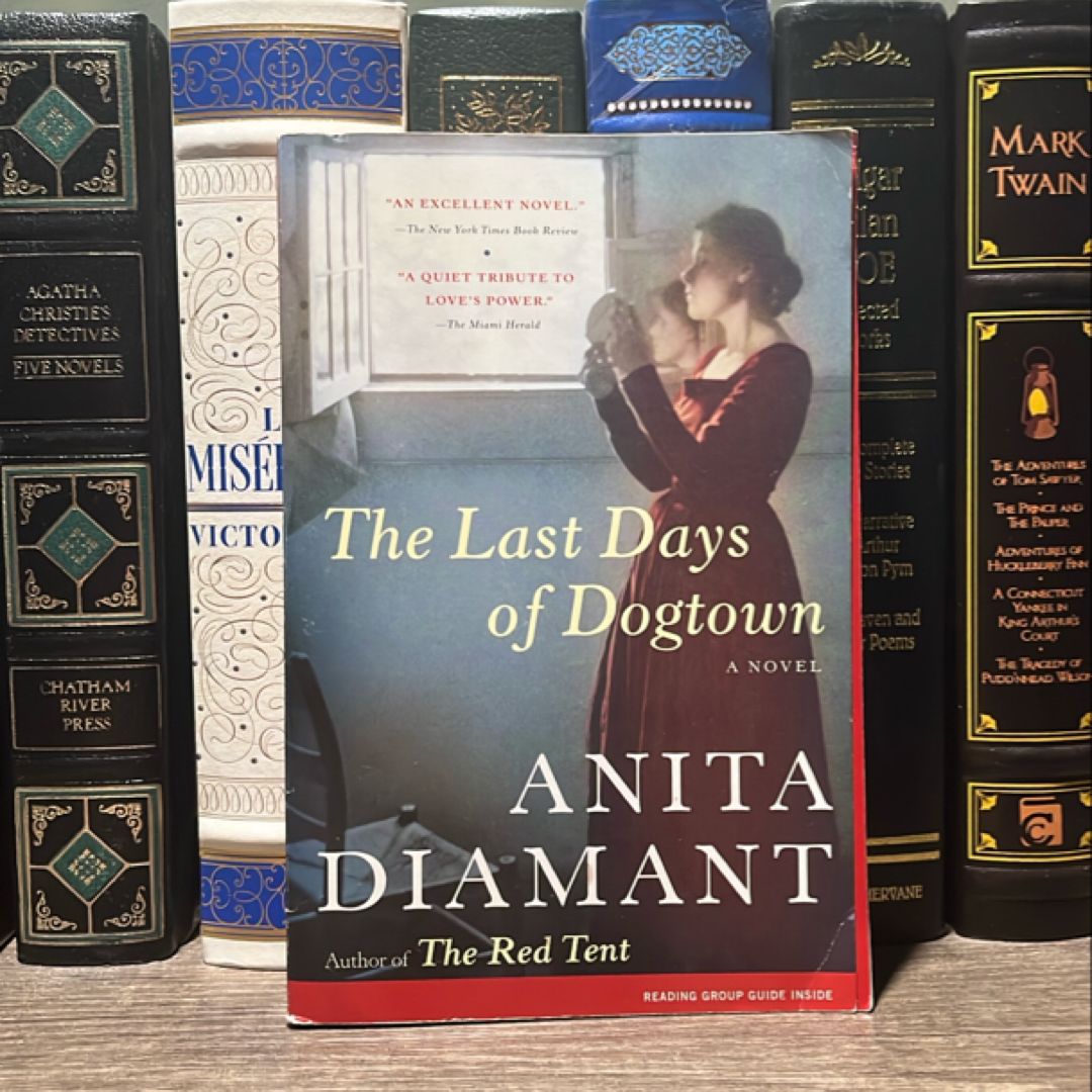 The Last Days of Dogtown