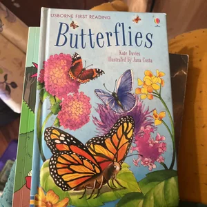 Butterflies