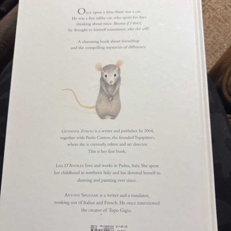 A Most Mysterious Mouse