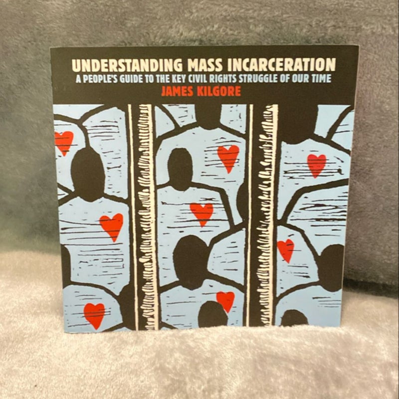 Understanding Mass Incarceration