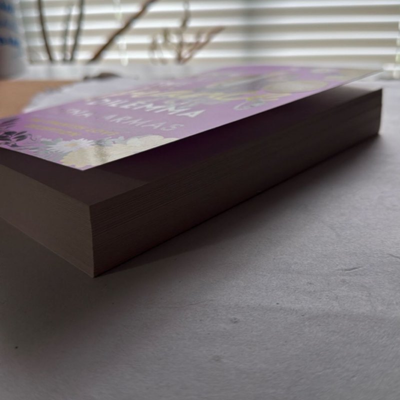 The Fiance Dilemma - barnes & noble