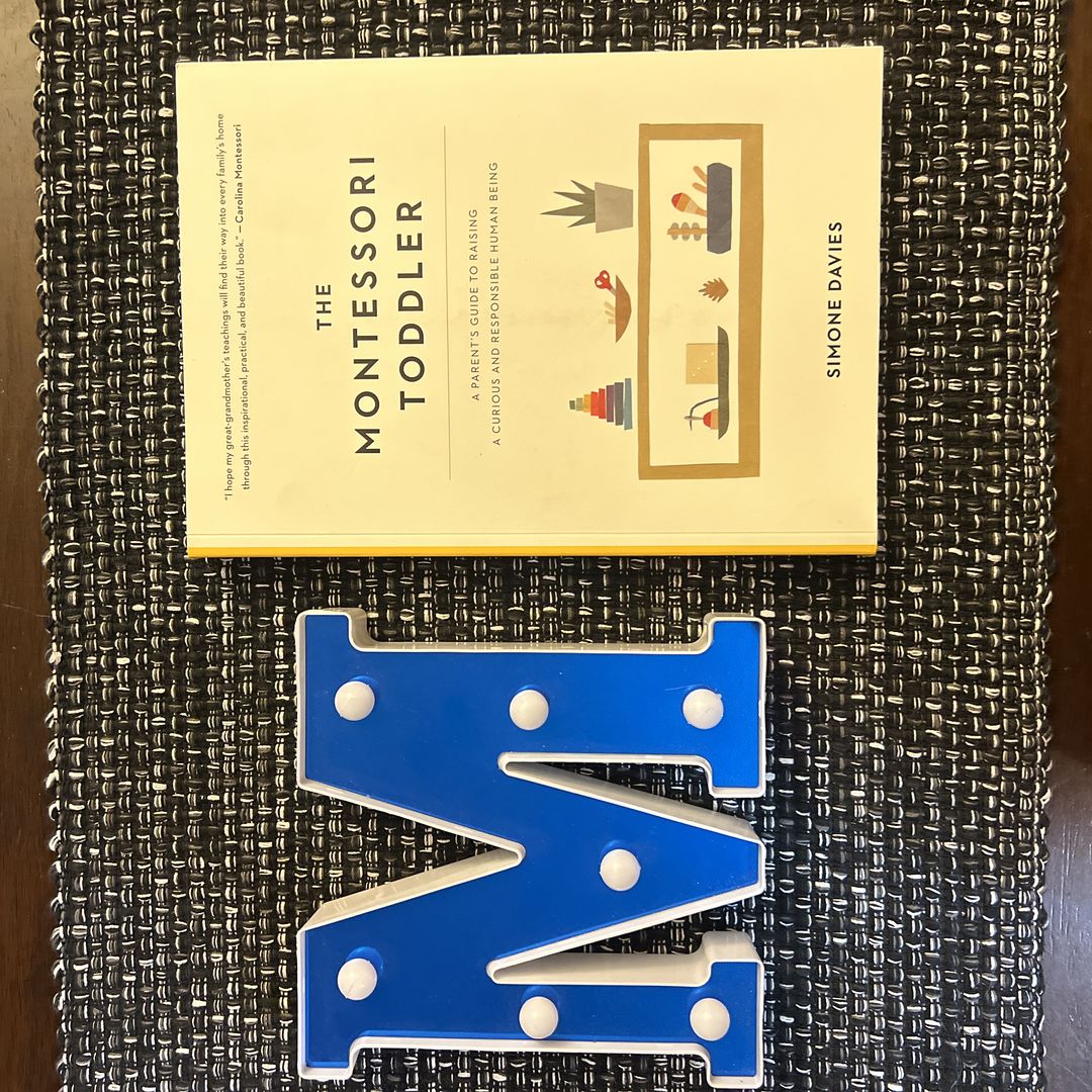 The Montessori Toddler