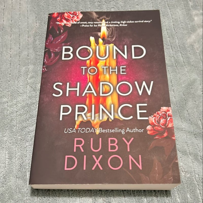 Bound to the Shadow Prince