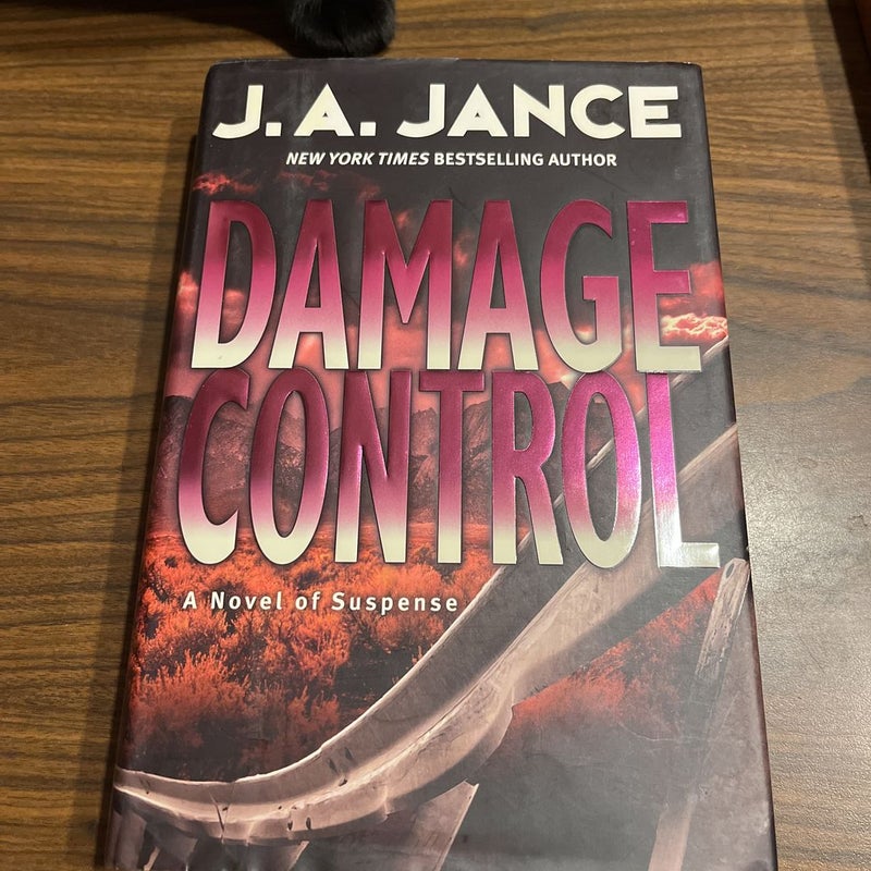 🎆 Damage Control